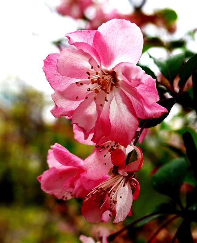 DSC02216.JPG