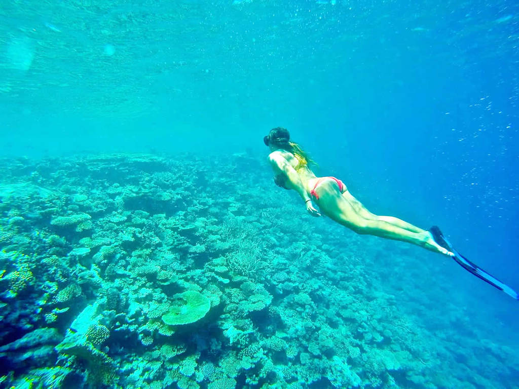 moevenpick-resort-kuredhivaru-snorkeling.jpg