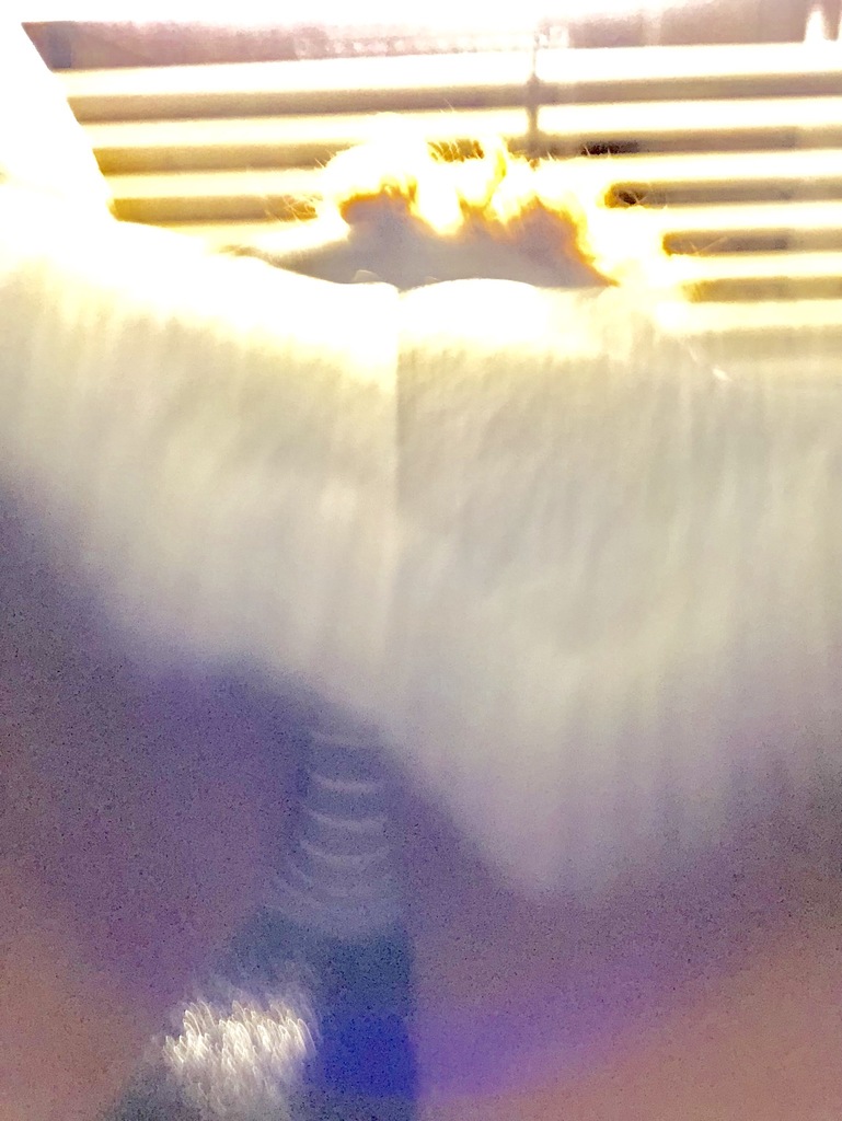 79EEB6BD-F442-4670-8412-A259F7BF414F.jpeg