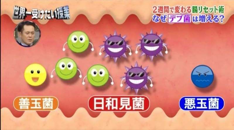 而「日和見菌」不是惡菌也不是益菌，只會根據腸道環境不同，變成多數菌群的那一方（即是若惡菌較多，日和見菌也會變成惡菌）。.jpg.jpg