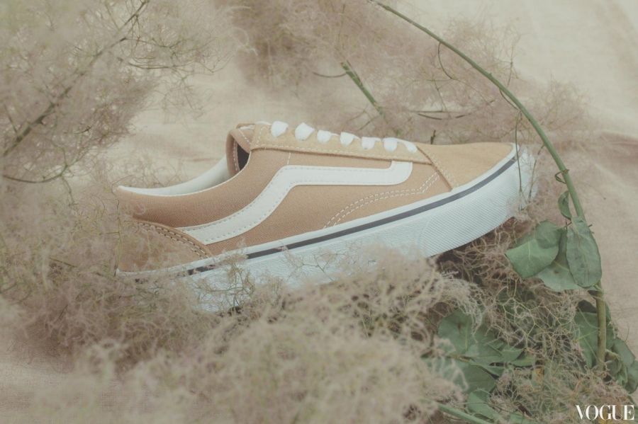 VANS04.jpg