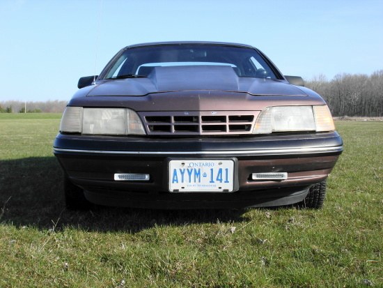 24648950038_large.jpg