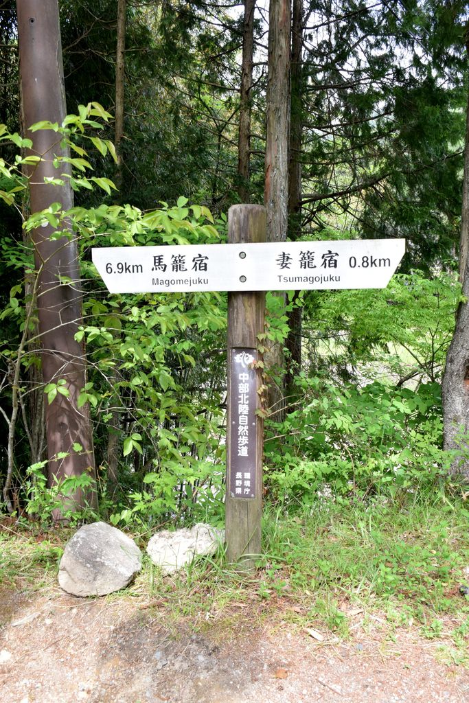 539_副本.jpg