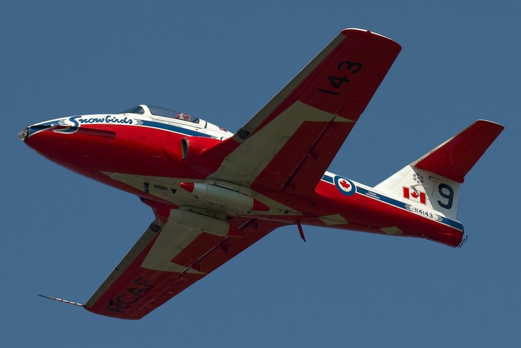 IMG Snow Birds 114143.jpg