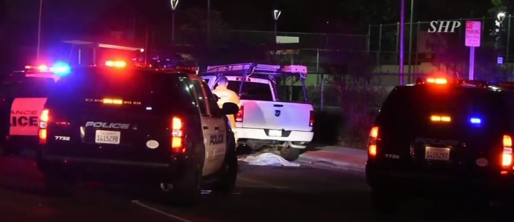 IMG TPD Action.jpg
