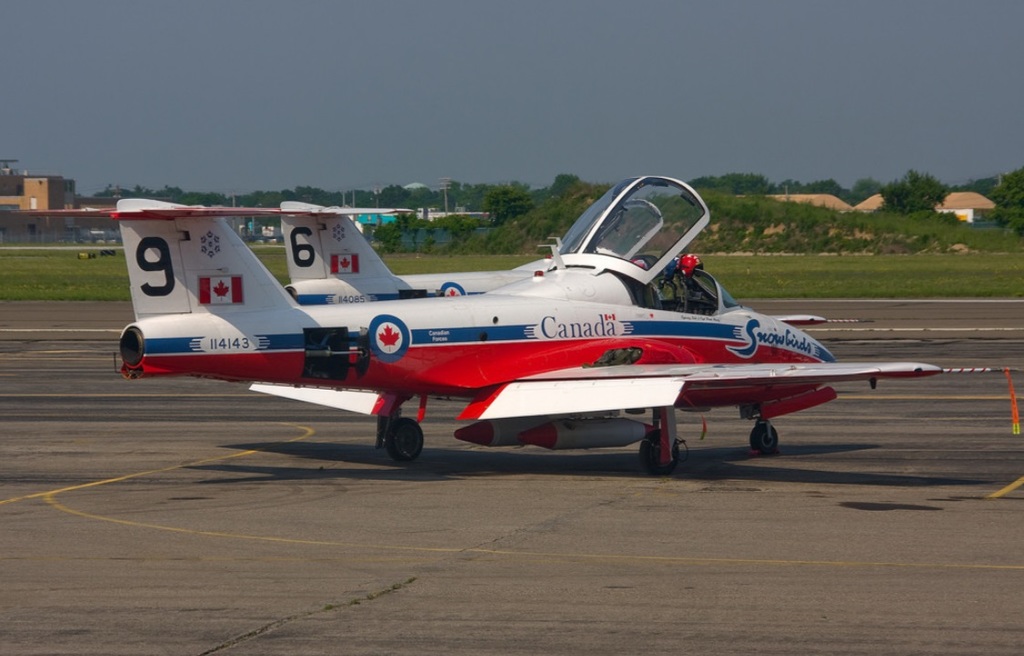 IMG Snow Birds 114143a.jpg