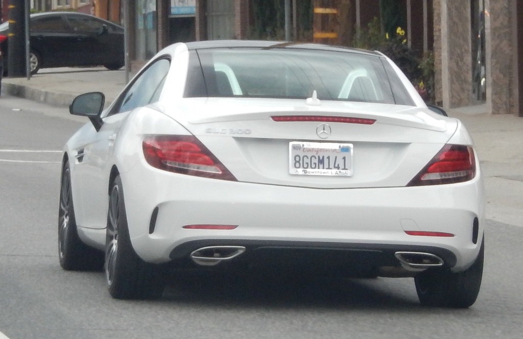 DSCN1408.jpg