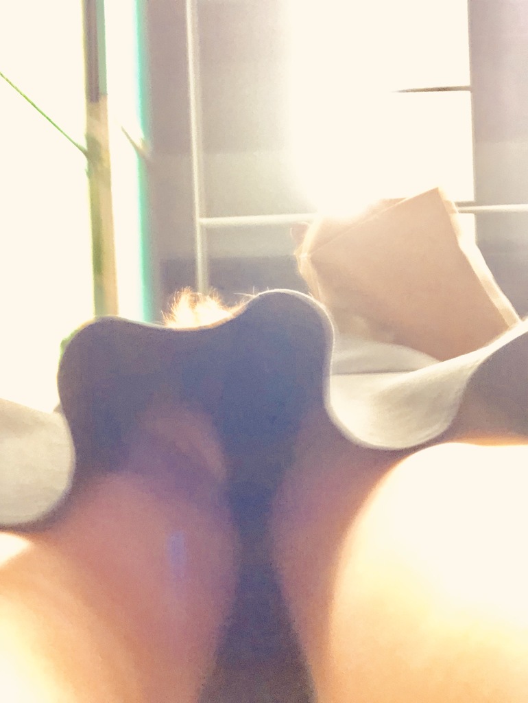 9FB93037-D884-4D70-A87A-4C4EC7059F04.jpeg