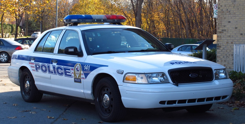 IMG LPD CA.jpg