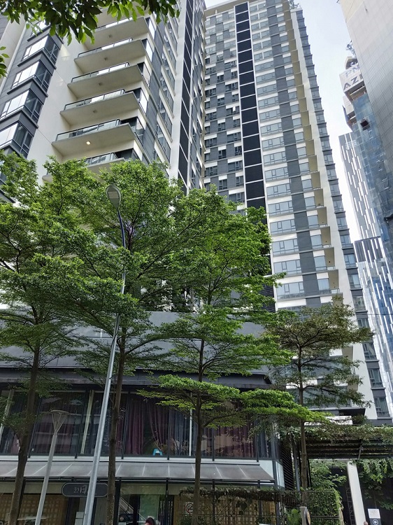 230325s8kyizogs3ikiooo 750.jpg