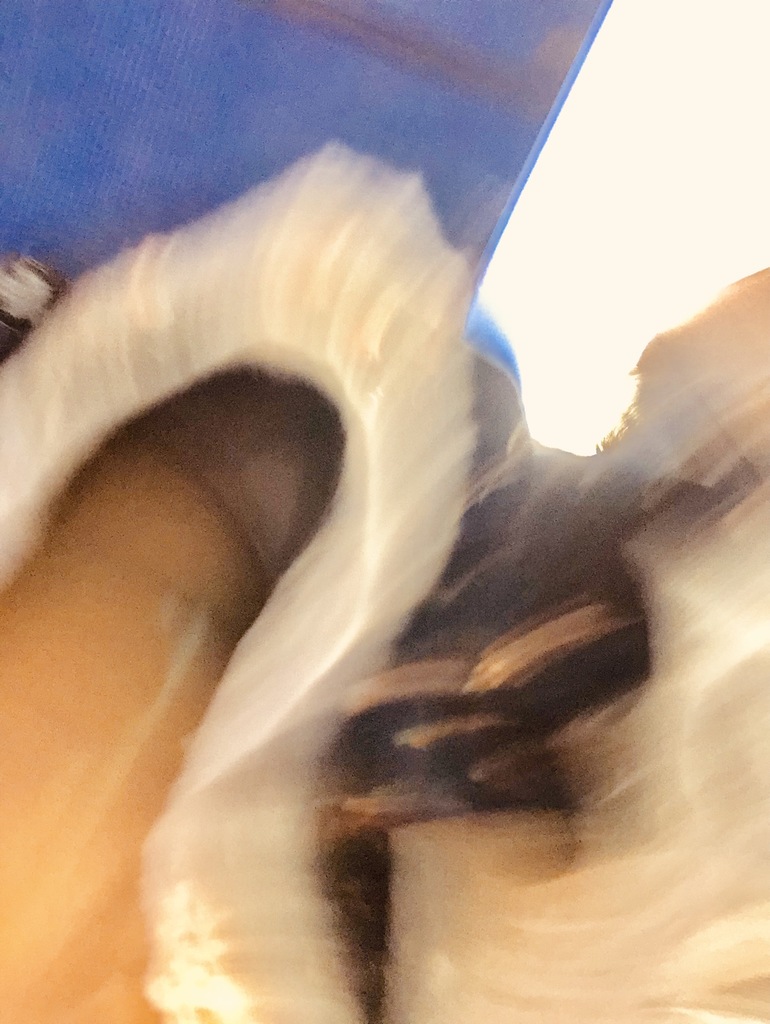 1927393A-3DE2-4465-8803-857B5B4D1825.jpeg