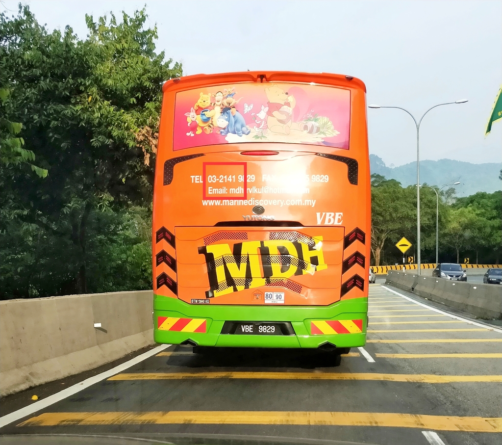 IMG_20190809_070717.jpg