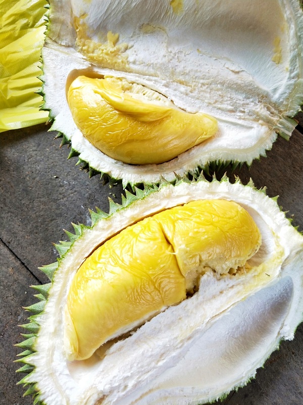 081451hbyjxxxj7hjhcxqn 800.jpg