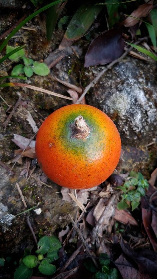 6XVP7mtCfzJ_S4J7FszfgsG77d4ooX47iIPu4oiD7uI