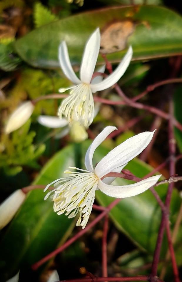 zlaLjSUqIRqmWY2Yedg7rW_RxqNmMdMQF-v6Xhfr-l4