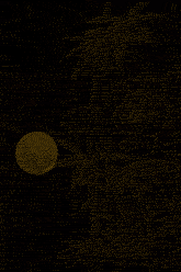 12.gif