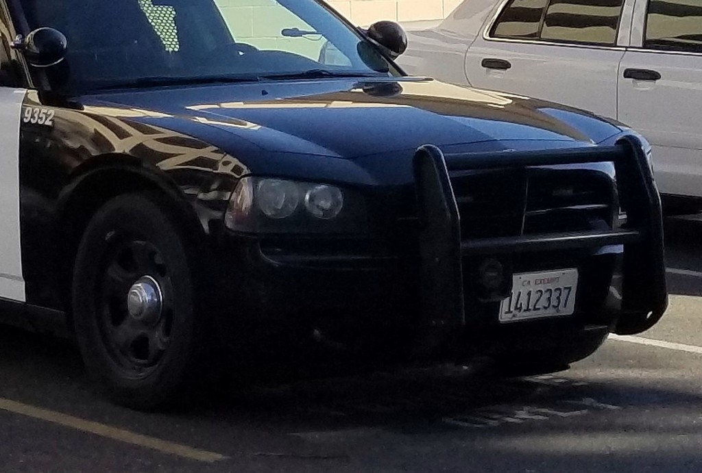 39780528874_f70.jpg
