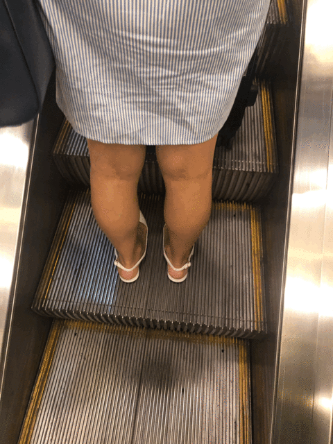 AF9F395F-2133-4129-8D03-F978740FAD8A.gif