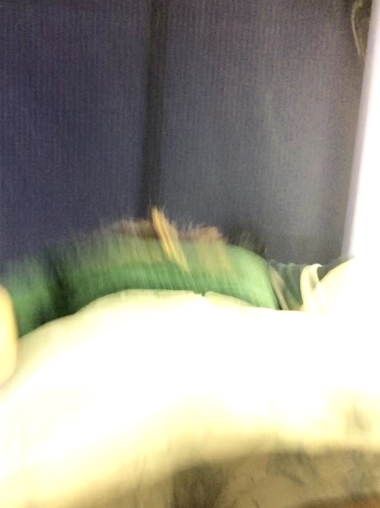 77962481-E69D-4510-8FE7-84077485512A.jpeg