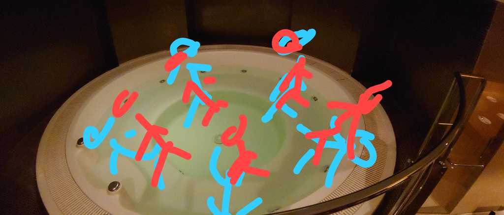 laballe vip room 大浴池