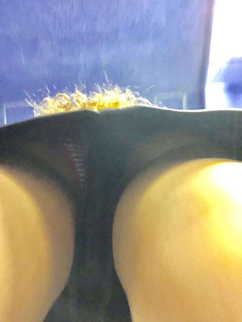 D0349821-BFA3-4355-8E48-E2F728C8BD43.jpeg