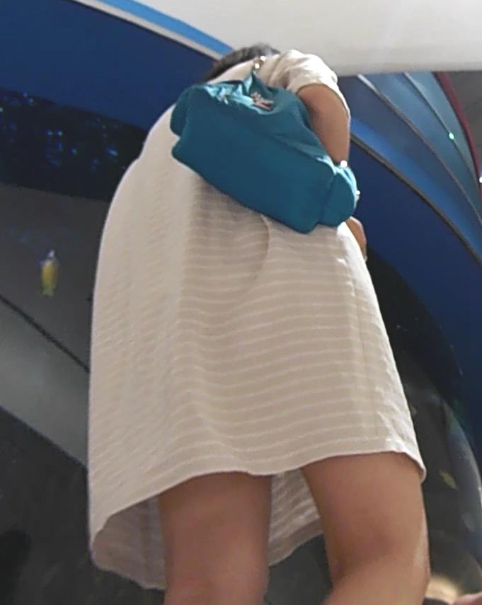 256-3.jpg
