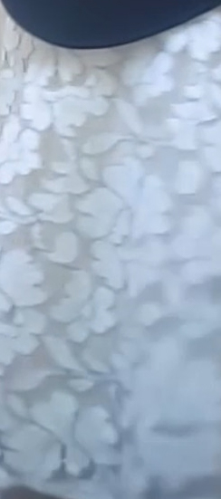2019-08-17_021144-2.jpg