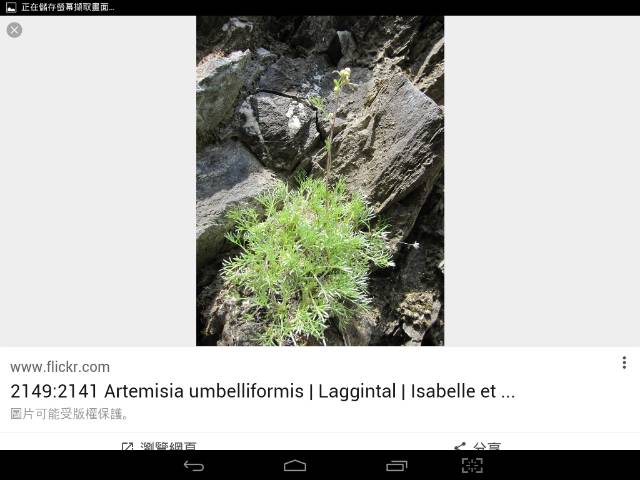 Screenshot_2016-10-07-01-00-25_resize_20190405_214610.jpg