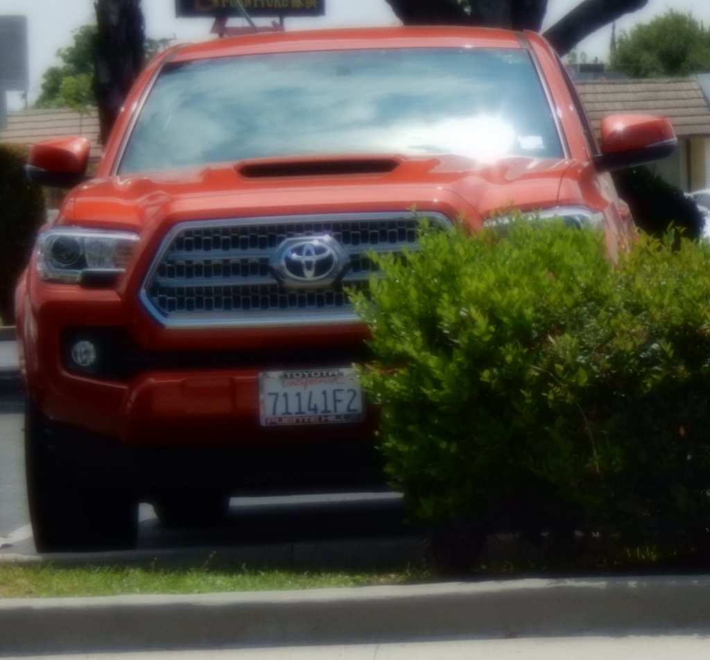 DSCN1472.JPG