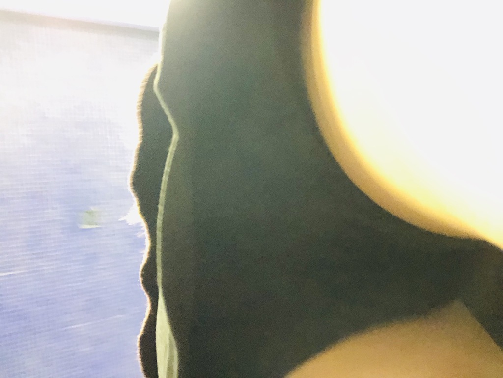 920CF248-5219-485B-BB6C-9515B0277683.jpeg