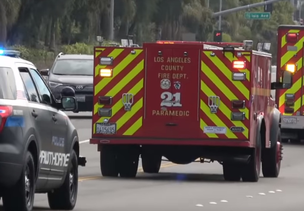 IMG LACFD1415695.jpg