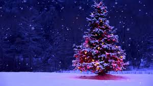 2019Xmas.1.jpg