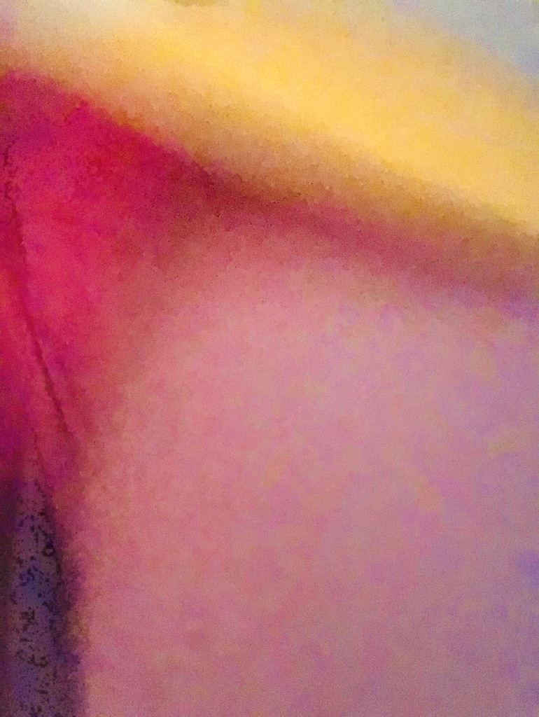 2519CEBB-FDDC-484A-A63A-932F4C9BF664.jpeg
