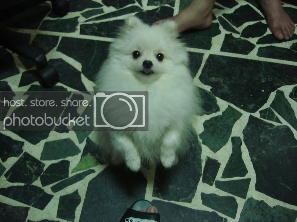 DSC03893.jpg