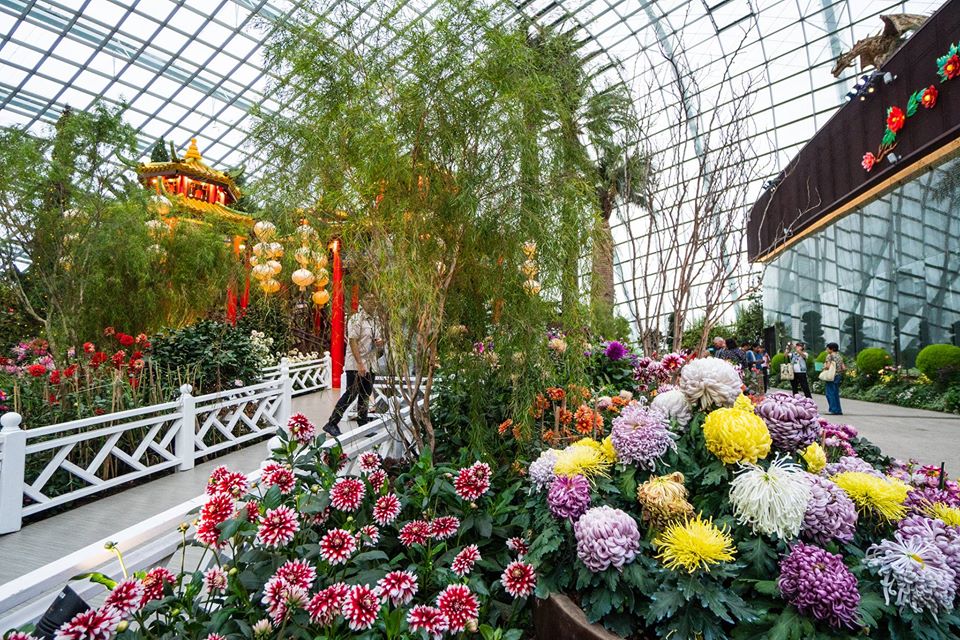 2020年 華人農曆新年   -   21.jpg