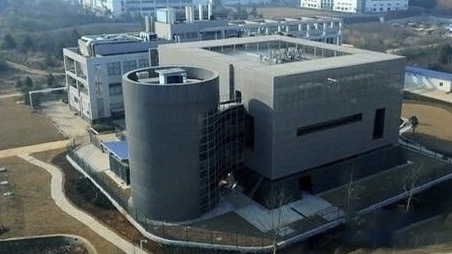P4 lab   -  101.jpg