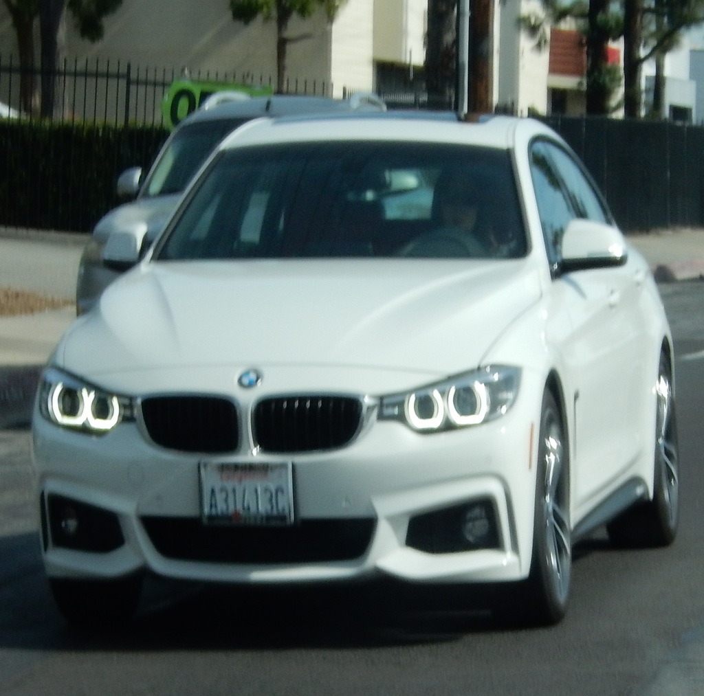 DSCN1637a.jpg