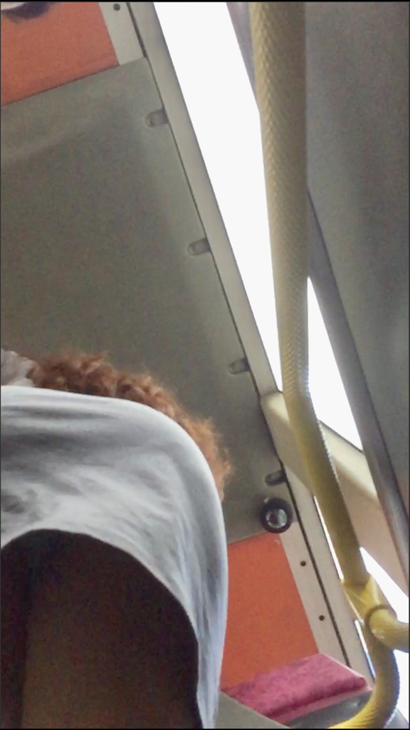 E0176F74-9DEE-4541-B34E-EA7867A68545.png