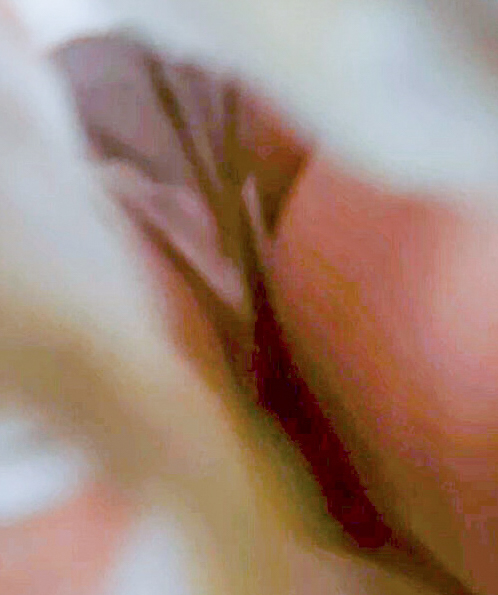 2020-02-26_215016-2.jpg