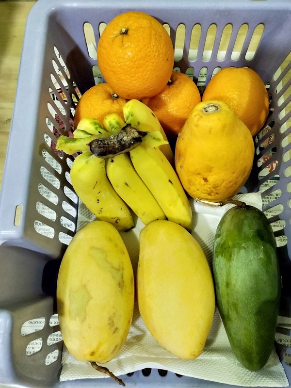 141549sdfnptdl2xattcgd 800.jpg