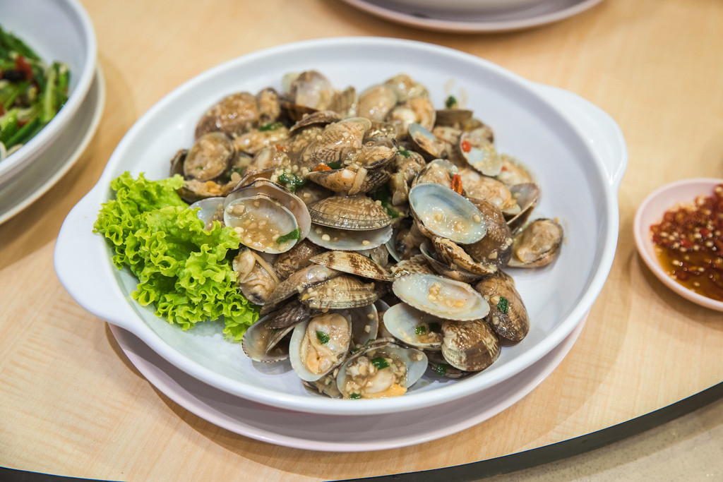 49348149261_e97363f4f9_k (1).jpg