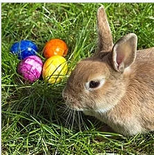 Easter.jpg