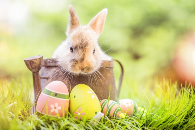 easter-adobestock_136935968.jpg