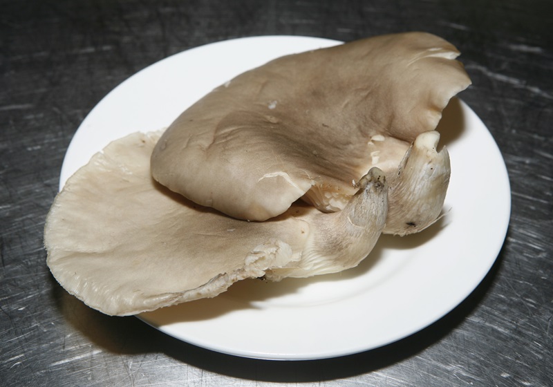 鮑魚菇.jpg