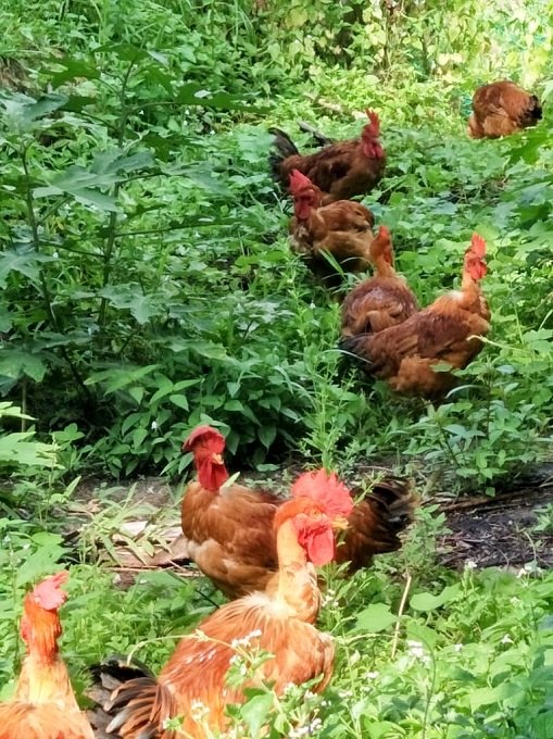 112741h8r82ykojhhp88ob (1) 680.jpg