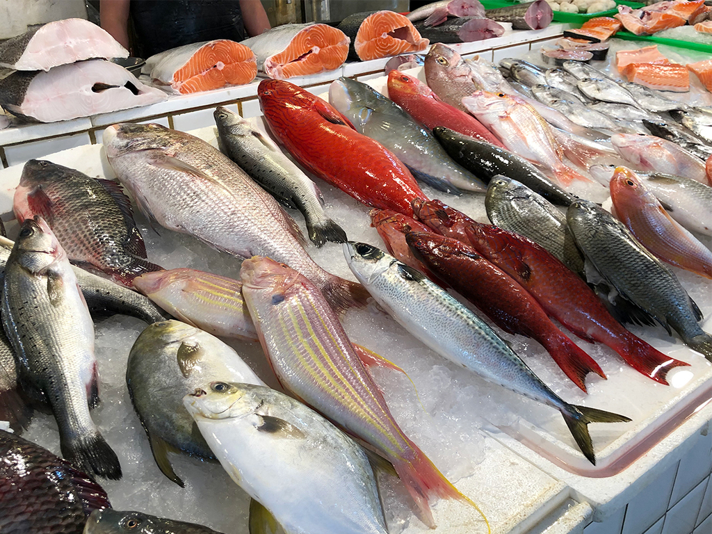 鮮魚.JPG