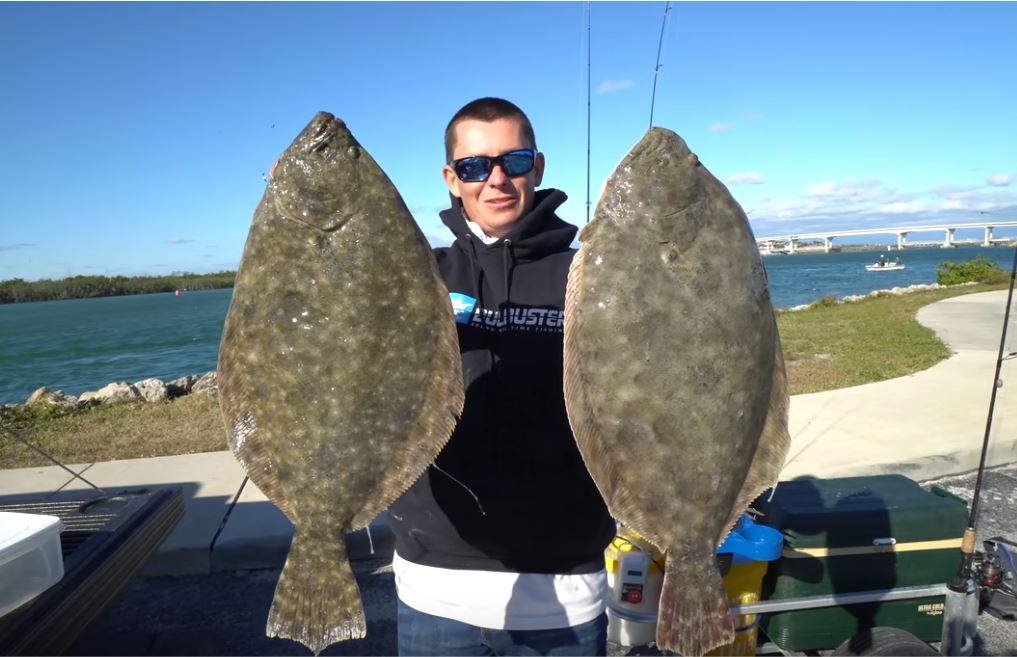 (GIANT Flounder).JPG
