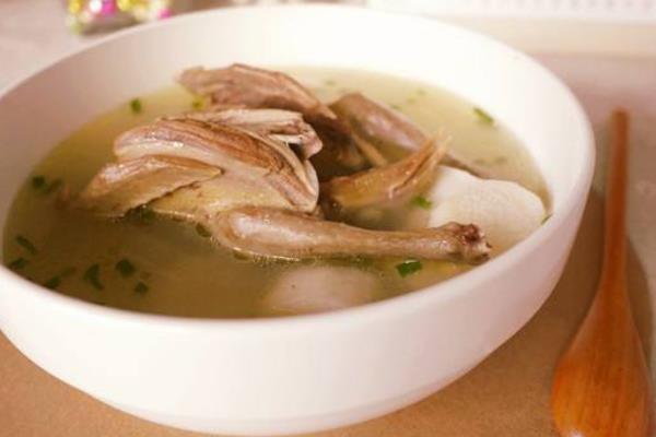 鴿子湯.jpg