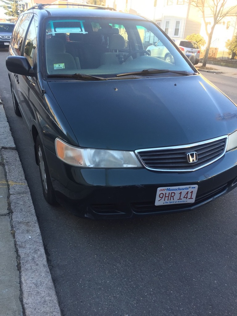 z7049304.jpg