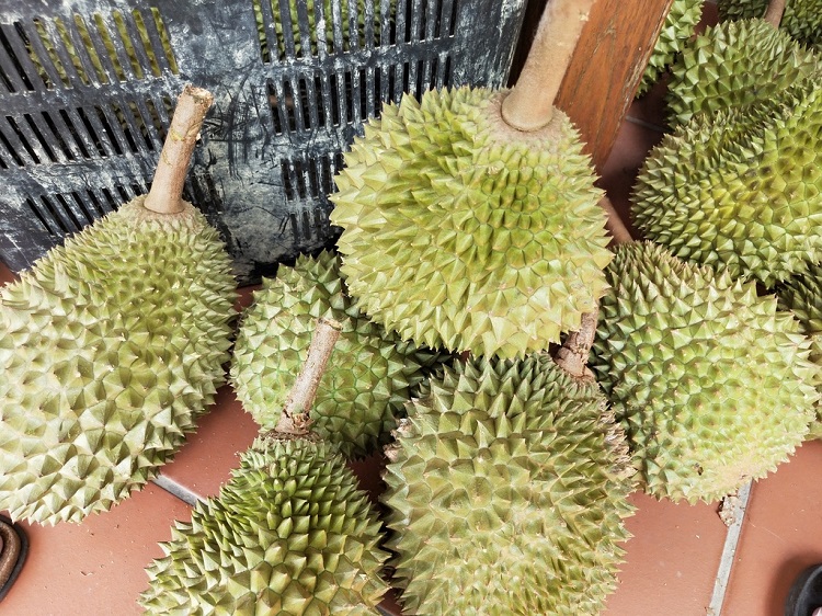 082800urrnlalgmkb2ltlt 750.jpg